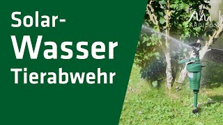 Solar-Wasser-Tierabwehr Schonend Tiere Vergrämen