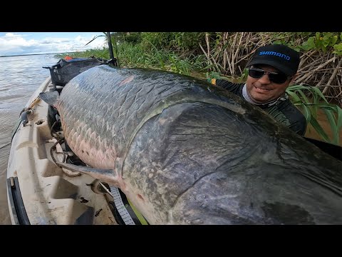 GIGANTE COBRIU O CAIAQUE, MESMO VENDO NÃO DA PRA ACREDITAR! Pirarucu do Rio Madeira.