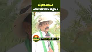 #shorts - అన్నదాత@30 | ఖర్జూర నుంచి ఎంత ఆదాయం వస్తుంది | ETV