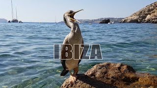 IBIZA paraíso