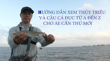Hướng dẫn xem thủy triều  , và câu cá đục từ A đến Z cho cần thủ mới
