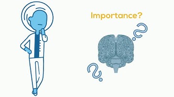 How Does The Brain Store Memories