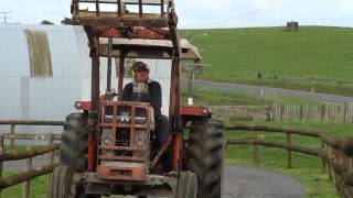 The New Zealand Farming Story: Tackling Agricultural Emissions