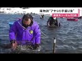 冬の風物詩「アサリの手掘り漁」 北海道・根室市のトーサムポロ沼 4月ごろまで続く (21/02/23 12:15)