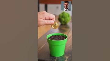 Top tips for boosting those blockchain skills