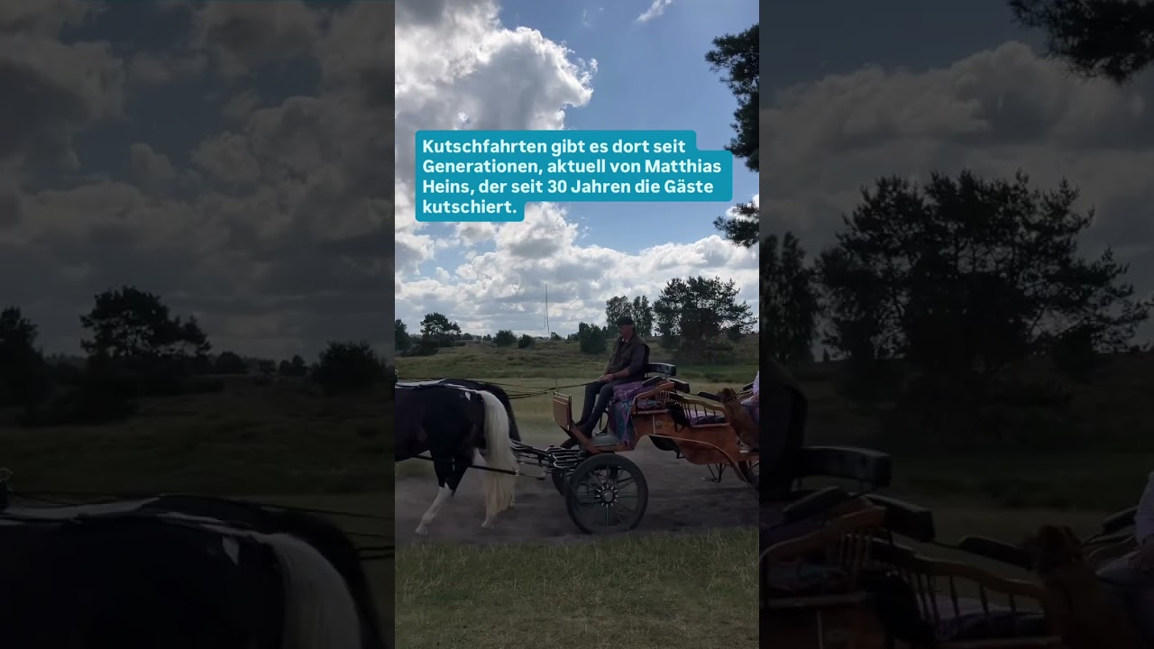 Lüneburger Heide mit der Kutsche oder dem Fahrrad entdecken 