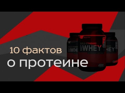 Протеин (Белок). 10 фактов