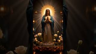 DON’T SKIP 🙏 AVE Maria ✝️❤️ | Mother Mary’s Miracle Prayer 🌹✨ #Shorts