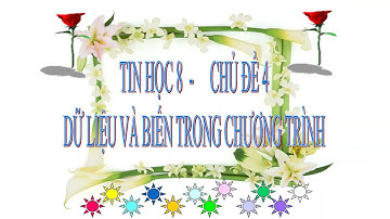Tin học 8 Sư Phạm TP HCM, chủ đề 4 Dữ liệu và biến trong chương trình: LamHieuVlog