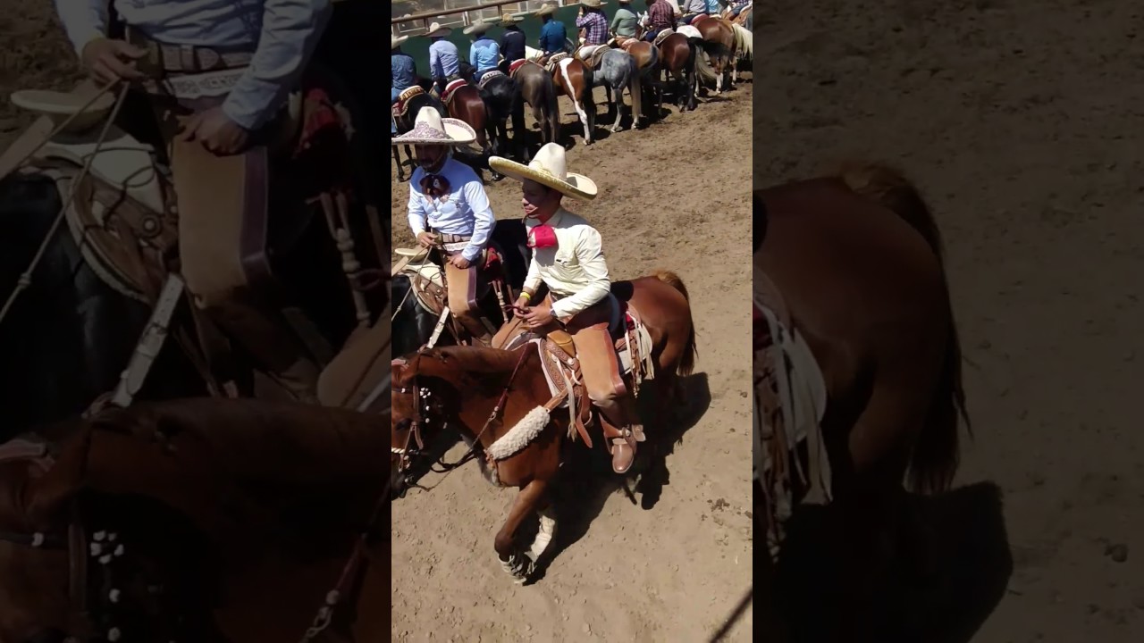 Coleadera Las Ánimas Nochistlán Zacatecas , Perris California Mayo 28 20017