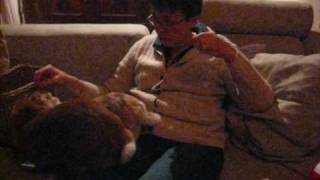 Anybunny interested in raisins