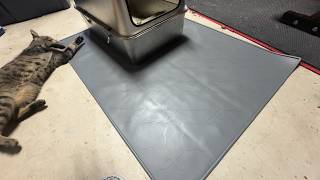What You Should Know About the Pawtners Cat Litter Box Mat #affiliate