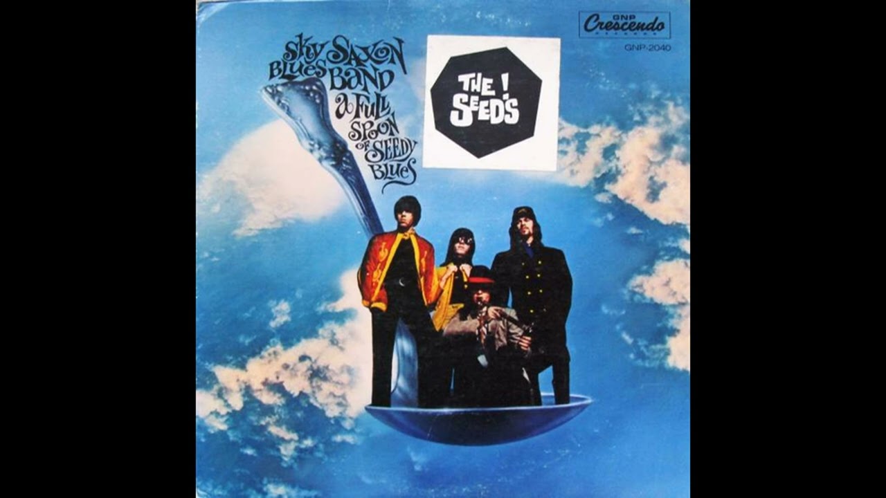 Buzzin Around The Seeds/The Sky Saxon Blues Band