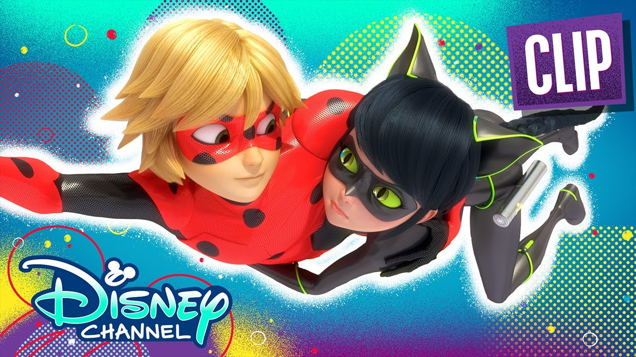 Ladybug e Cat Noir