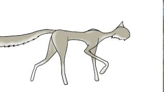 Silver Fox