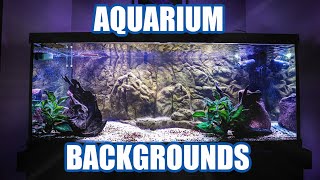Aquarium Backgrounds  Everything You Need to Know