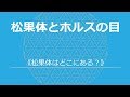 古代エジプトに隠された松果体のシンボル：ドクタードルフィン松果体革命4
