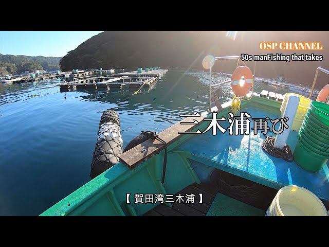 Barrel fishing] I'm attacking Mikiura again. Lately, I haven't