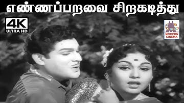 Ennapparavai Sirakadithu R.சுதர்சனம் இசையில் T.M.சௌந்தர்ராஜன் பாடிய பாடல்  எண்ணப்பறவை சிறகடித்து