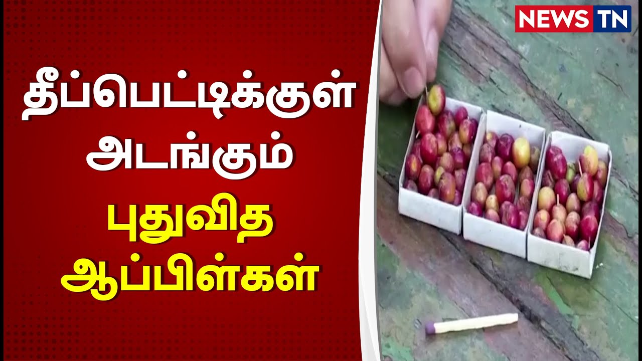 Pearl-sized Apples | Fruit | Small size Apples | Frost – Resistant ...