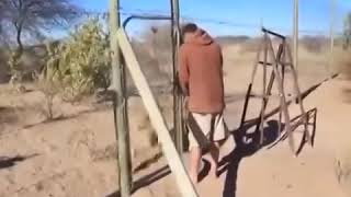 Allahi̇n Bi̇ze Yasatdi̇gi̇ Mocuzeler