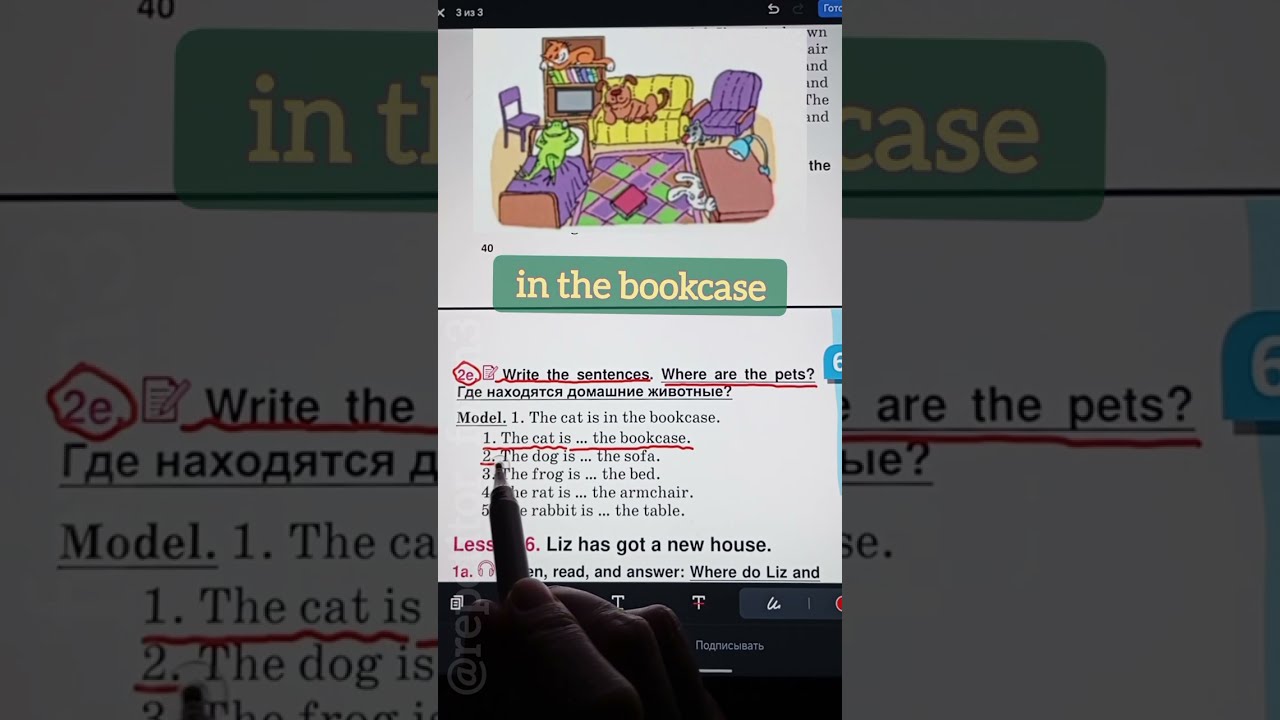 Unit6. Lesson 5. Where are my funny pets. (Где находятся мои смешные питомцы? Вопросы с 