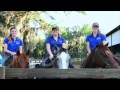 Uf animal science promo