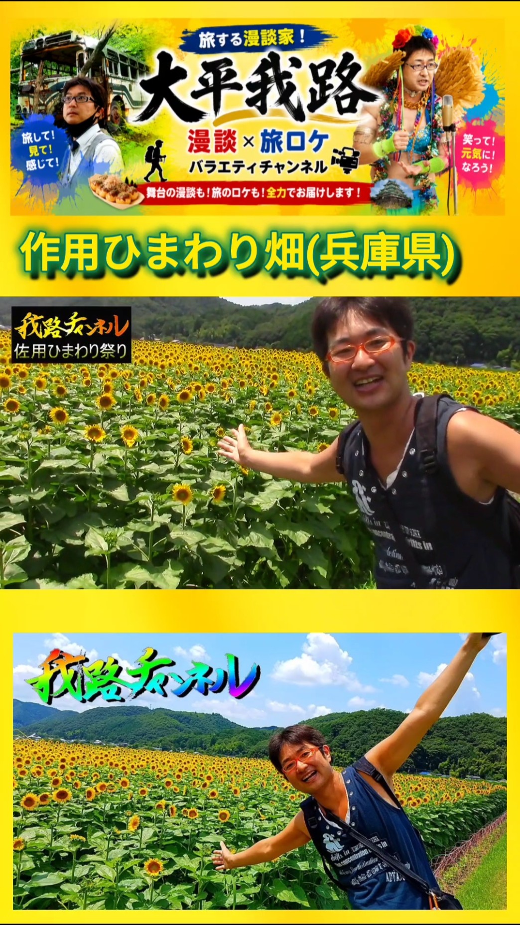 60-Second Tour] A Must-Visit This Summer! Breathtaking Sunflower