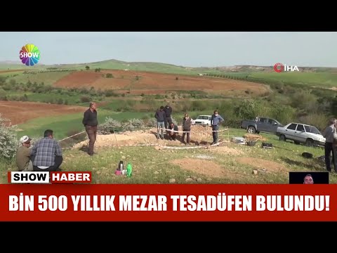 Bin 500 yıllık mezar tesadüfen bulundu!