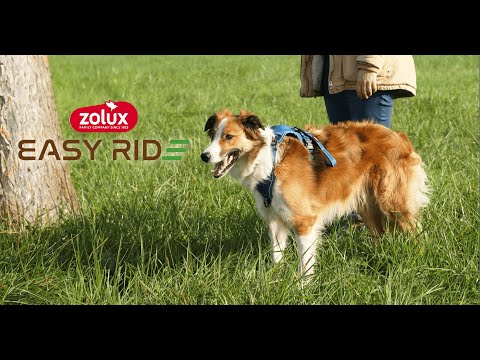 EASY RIDE - Le harnais mains-libres révolutionnaire ! - video from Zolux