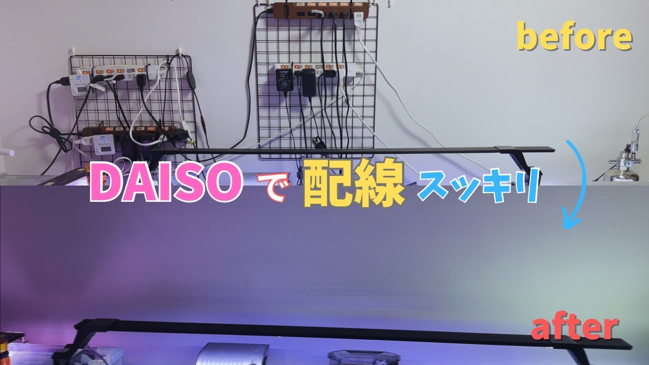 アクアリストの永遠の悩み配線ごちゃごちゃ！DAISOで一発解決！　＃アクアリウム