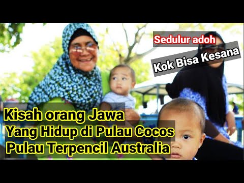 Video: Australia dalam kampervan: petua teratas dari para pakar