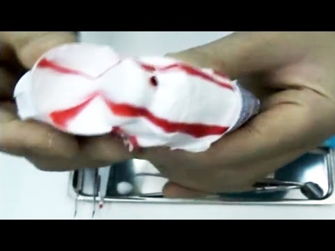 アクアフレッシュを切断してみた。（Aquafresh cut cm）