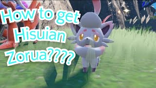 How to get Hisuian Zorua in Scarlet and Violet