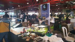 Dartgeckos Peces Tropicales