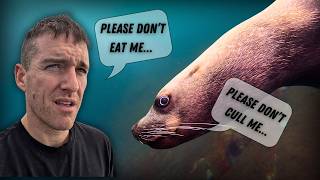 Diving With PNW Beasts! - British Columbia Adventures