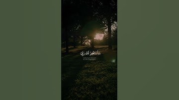 مريم - الآية ٤٧ قَالَ سَلَـٰمٌ عَلَيْكَ ۖ سَأَسْتَغْفِرُ لَكَ رَبِّىٓ ۖ إِنَّهُۥ كَانَ بِى حَفِيًّا