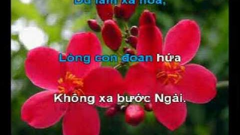 Khúc Dân Ca Đời Con (karaoke)