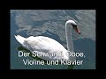 Der schwan f  oboe violine und klavier