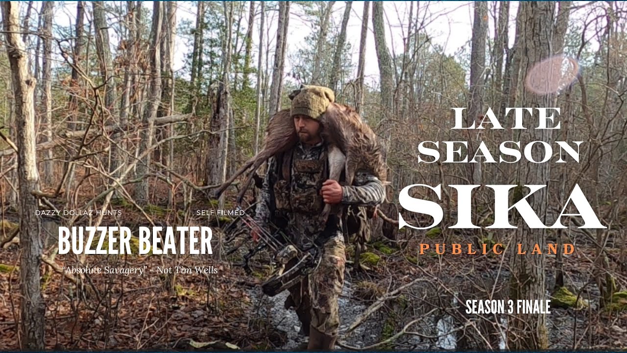 maryland-sika-deer-hunt-with-a-bow-self-filmed-public-land-s3-e8