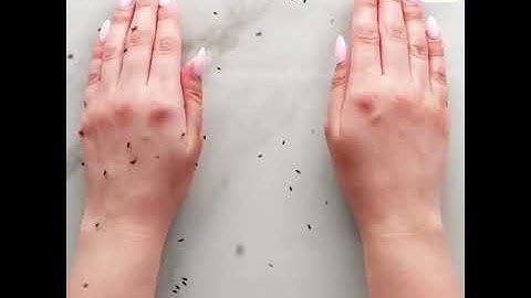 Do you want to know how to keep flies and insects away try this household method , DIY #shorts