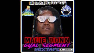 Malie Donn Mix 2025 - for the Ladies Explict - Dancehall Mixtape 2025 (Gyal Segmnet) / Gyal Tunes