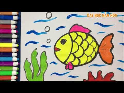 Hướng Dẫn Cách Vẽ Con Cá - Tô Màu Con Cá - How To Draw A Fish Step By Step  - Youtube