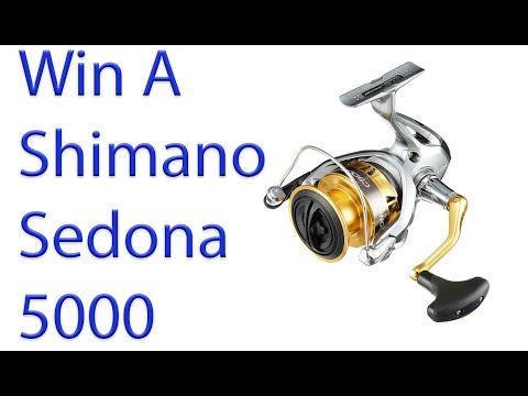 ผลสลากกินแบ่งรัฐบาล วันที่ 1 พย. 2567