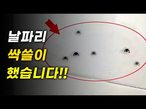 친환경 방법으로 실내를 깨끗하게 하는 법