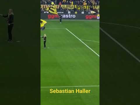 #sebastian #haller #bvb #dortmund #ดอร์ทมุนด์