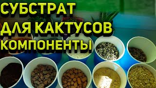 Грунт для кактусов и суккулентов. Компоненты субстрата. Уход за кактусом.Субс