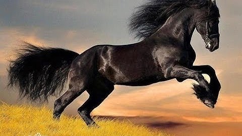 Nhà tôi dạo quanh một góc khu công nghiệp Vsip 1, KDC Việt Sing