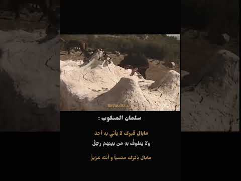 سلمان منكوب ما ضال قبرك