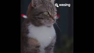 Download Lagu Hidayah-rosmaria karaoke MP3